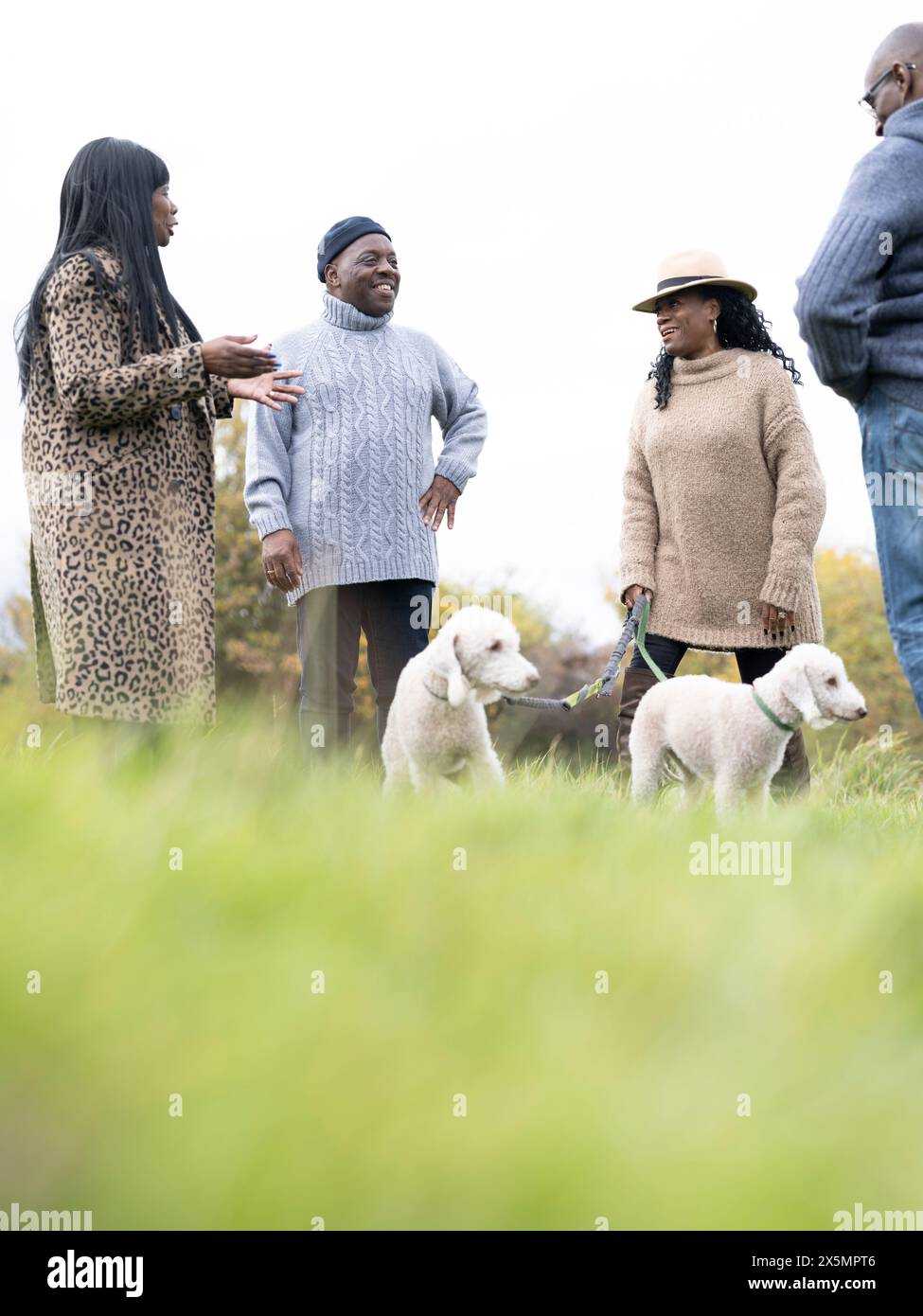 Senior couples standing with dogs in nature Stock Photo - Alamy
