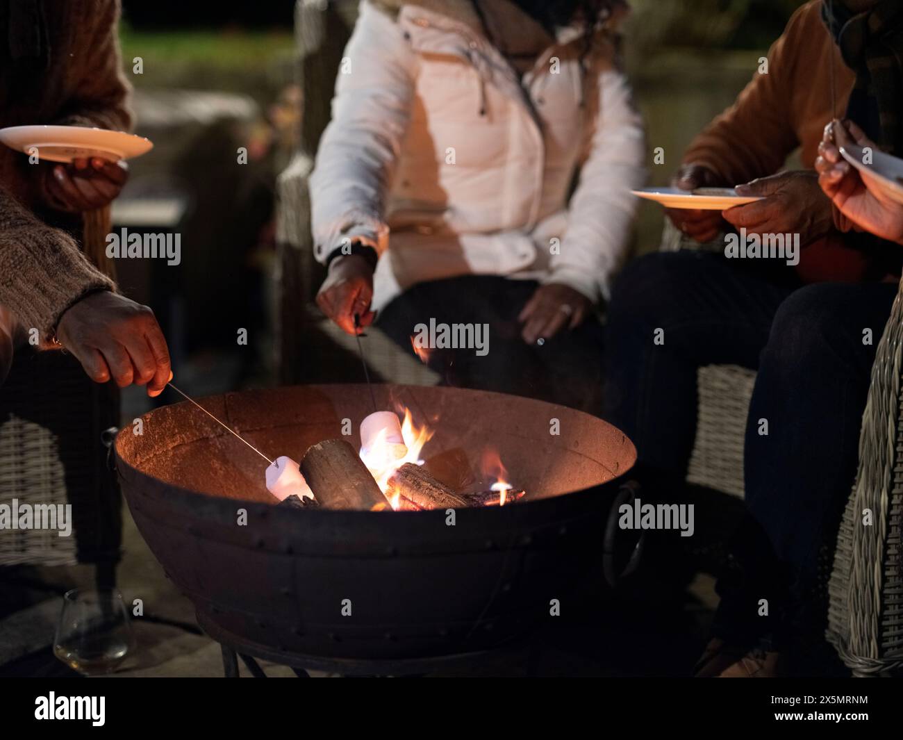 Family roasting marshmallows in fire pit Stock Photo - Alamy