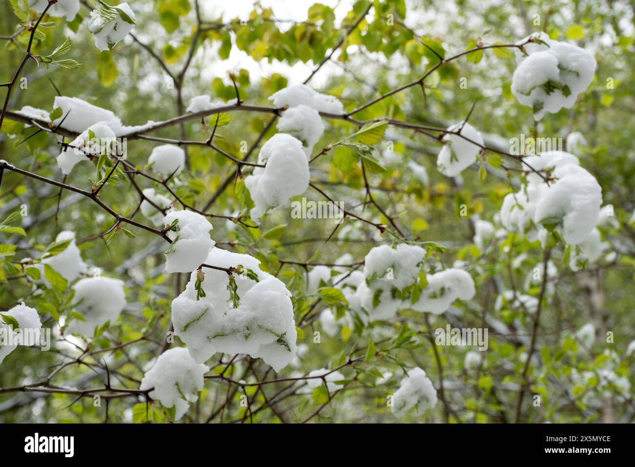 Changing the climate hi-res stock photography and images - Alamy