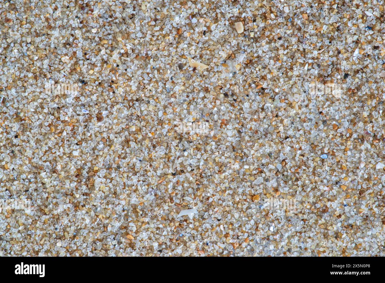 Sand texture on a beach in Brittany Stock Photo