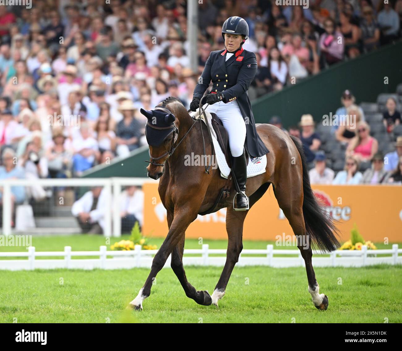 Badminton Estate, Gloucestershire, UK. 10th May, 2024. 2024 MARS Badminton Horse Trials Day 3; Pippa Funnell (GBR) riding MCS MAVERICK During the Dressage on Day 3 Credit: Action Plus Sports/Alamy Live News Stock Photo