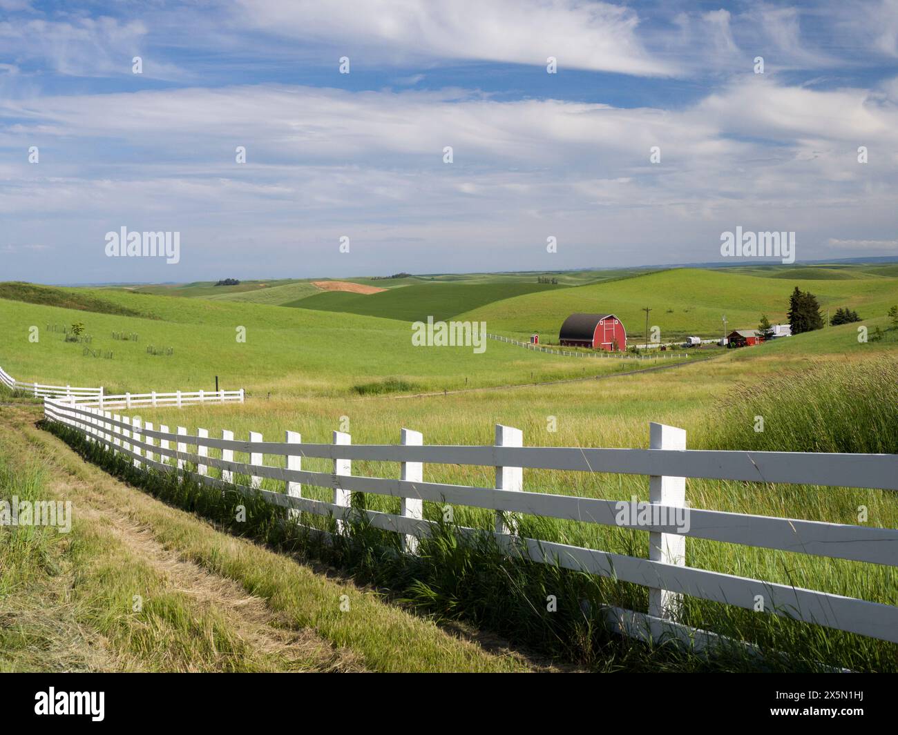 USA, Idaho, Palouse. White fence line leading to a country farm. (Editorial Use Only) Stock Photo