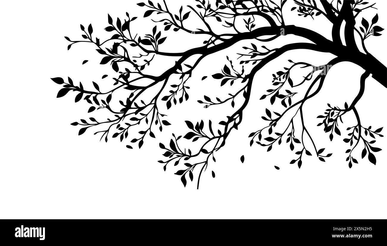 Tree branches silhouette isolated on white background. Vector ...