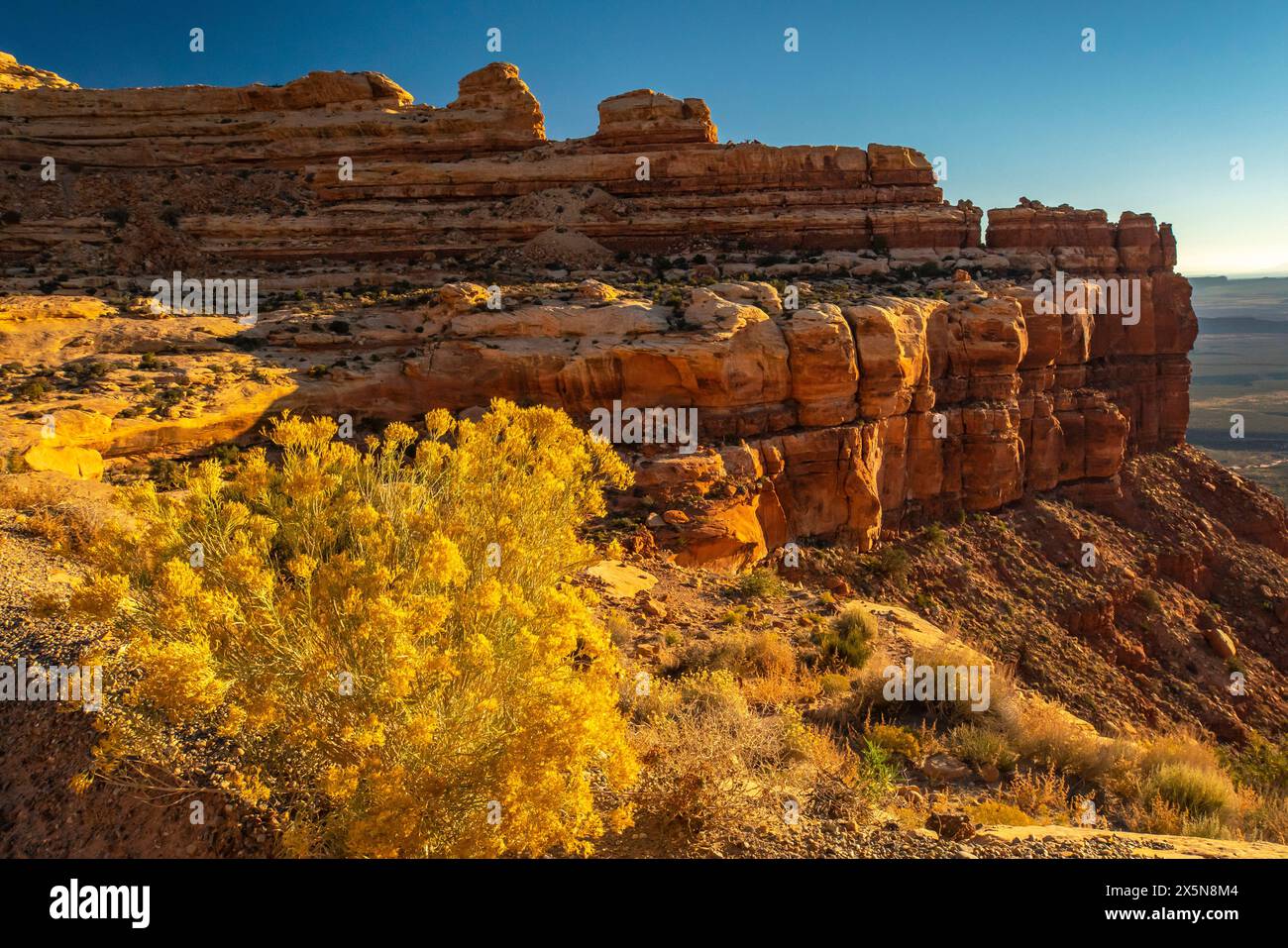 USA, Utah, Bear's Ears National Monument. Yellow rabbitbrush and rock formation. Stock Photo
