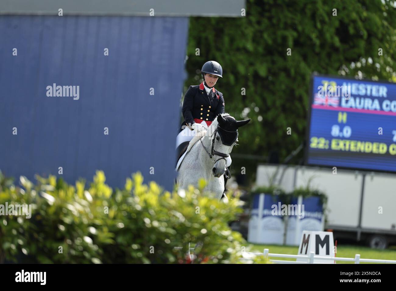 Tiaras, Pantsuits \u0026 Coronation Robes - by Jane, image size:1300x956