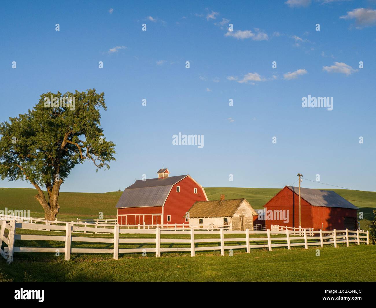 USA, Washington State, Palouse. Country farm with red barn in the ...