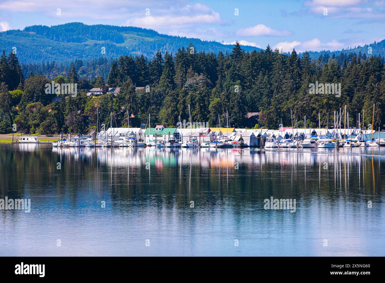 Bremerton, Washington State, USA. Scenic boat marina on the Puget Sound with evergreen trees. Stock Photo