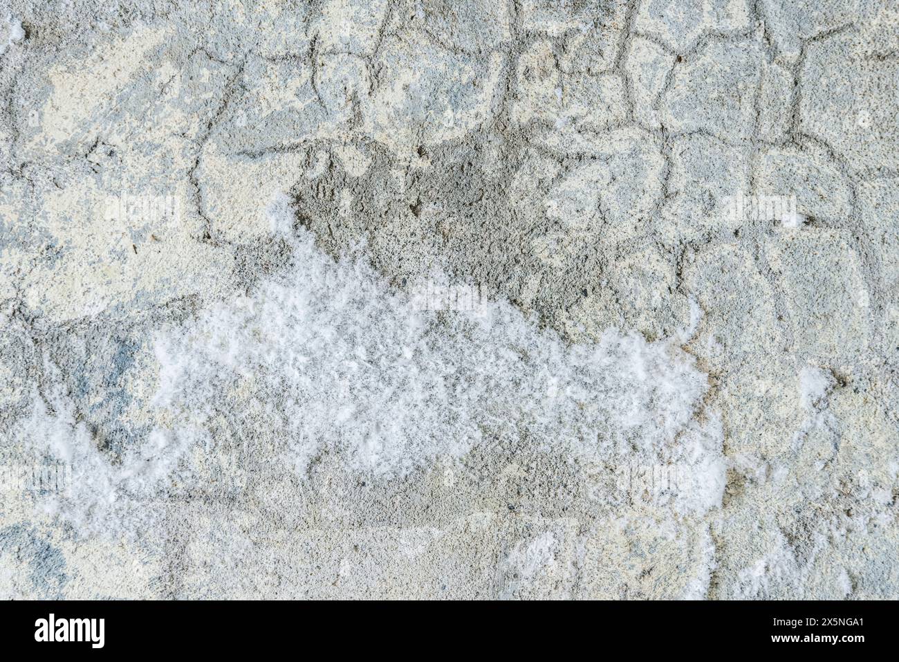USA, Washington State, Whidbey Island. Fort Casey Historical State Park, concrete wall abstract Stock Photo