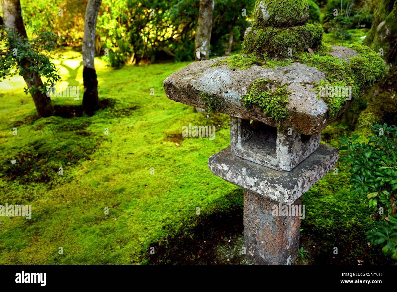 An old stone lantern placed in a moss-covered Japanese garden Stock Photo