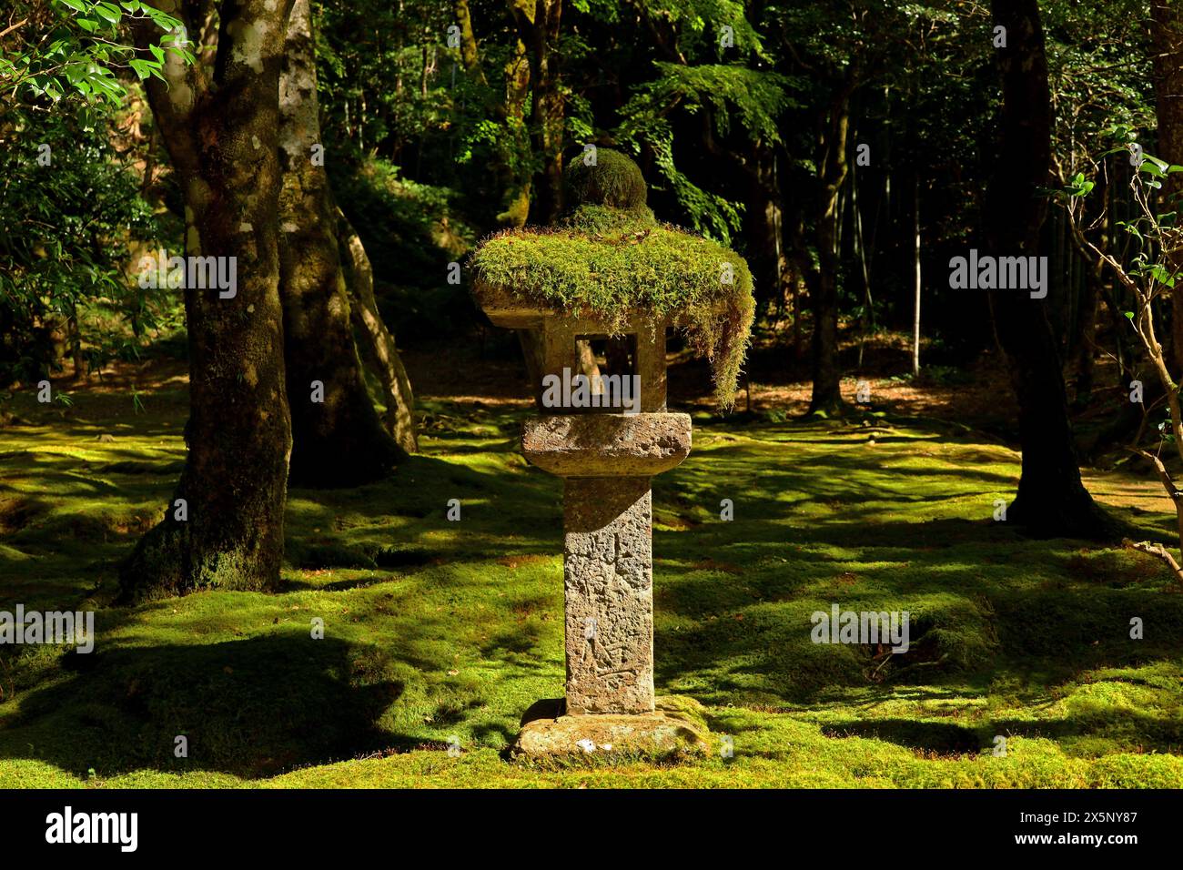 An old stone lantern placed in a moss-covered Japanese garden Stock Photo