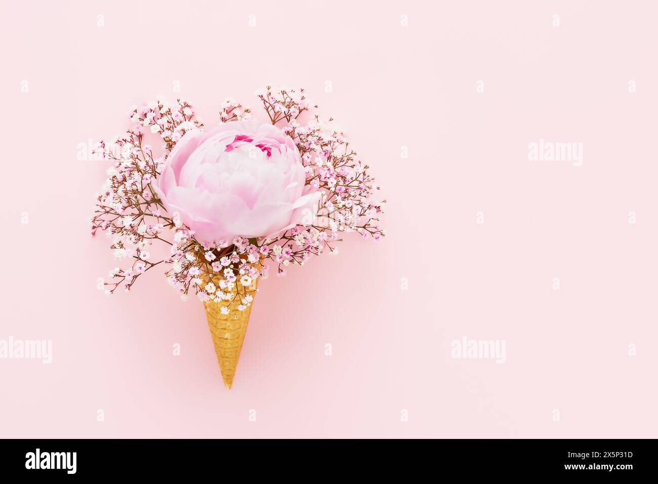 Pink peony and gypsophila in waffle ice cream cone on a pink background. Mothers Day, Valentines Day, bachelorette, summer concept. Copy space Stock Photo