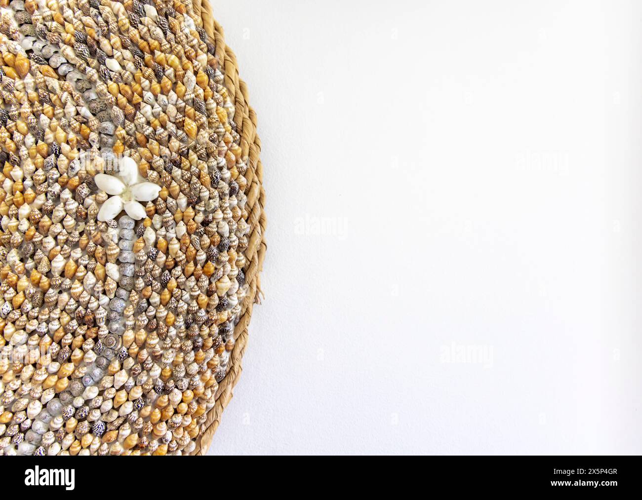 Detail of a pattern of seashells, with a white space for copy Stock Photo