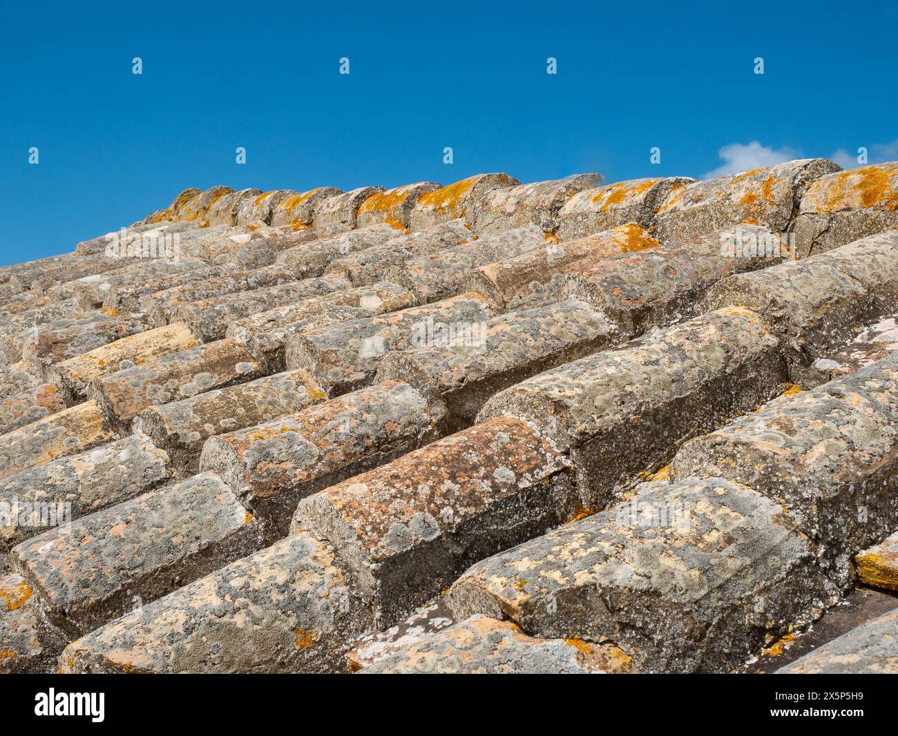 Moss-Covered Roof Tiles in Close-Up Shot blue sky background Stock Photo