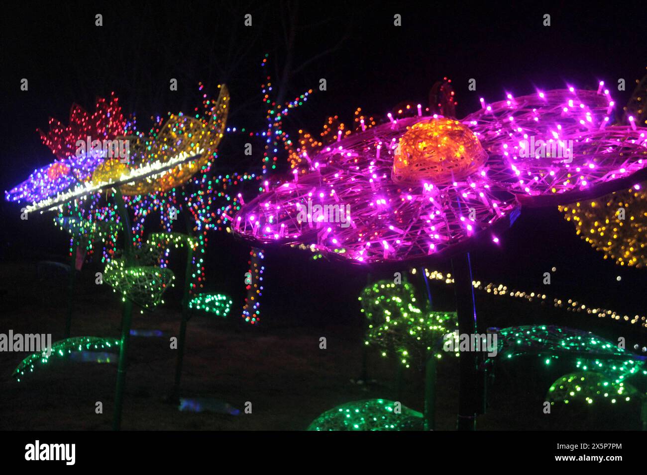 Public Christmas light display in the U.S.A Stock Photo Alamy