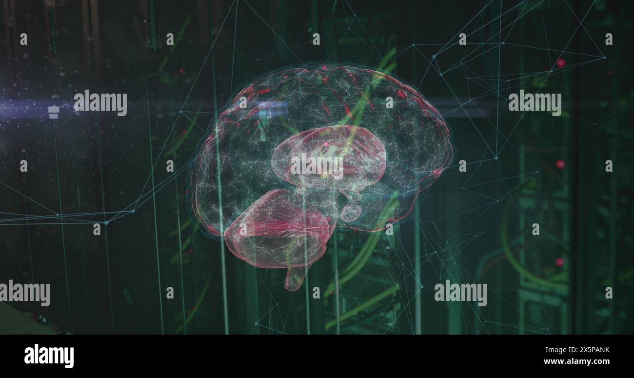 Image of network of connections and brain over server room Stock Photo