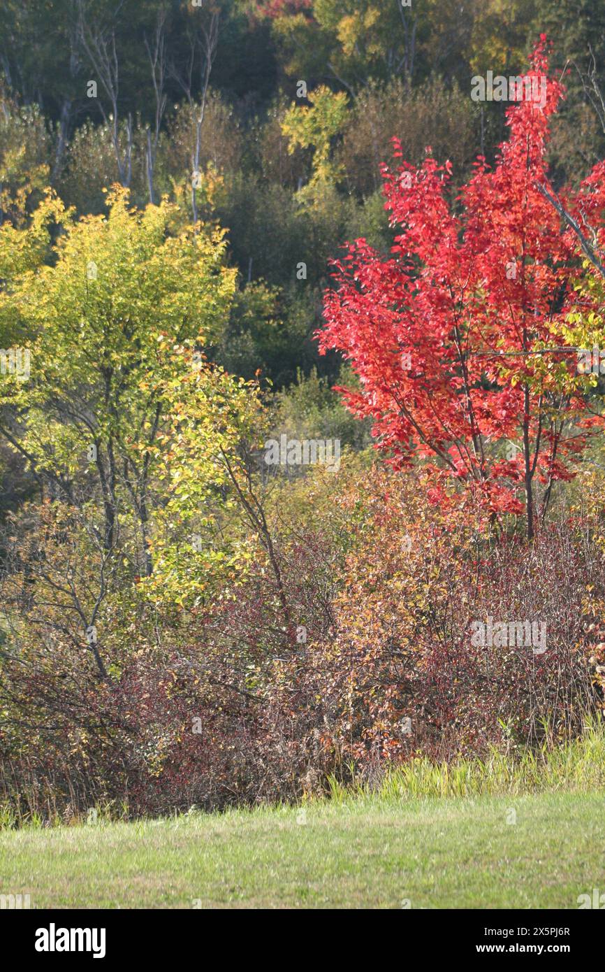 Bright clear colors hi-res stock photography and images - Alamy