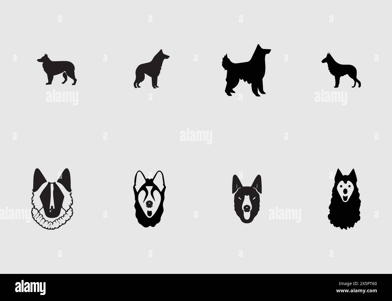 Minimal stylish Belgian Sheepdog icon illustration design Stock Vector