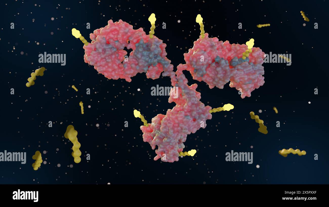 3d rendering of Antibody drug conjugates (ADCs) are targeted medicines ...