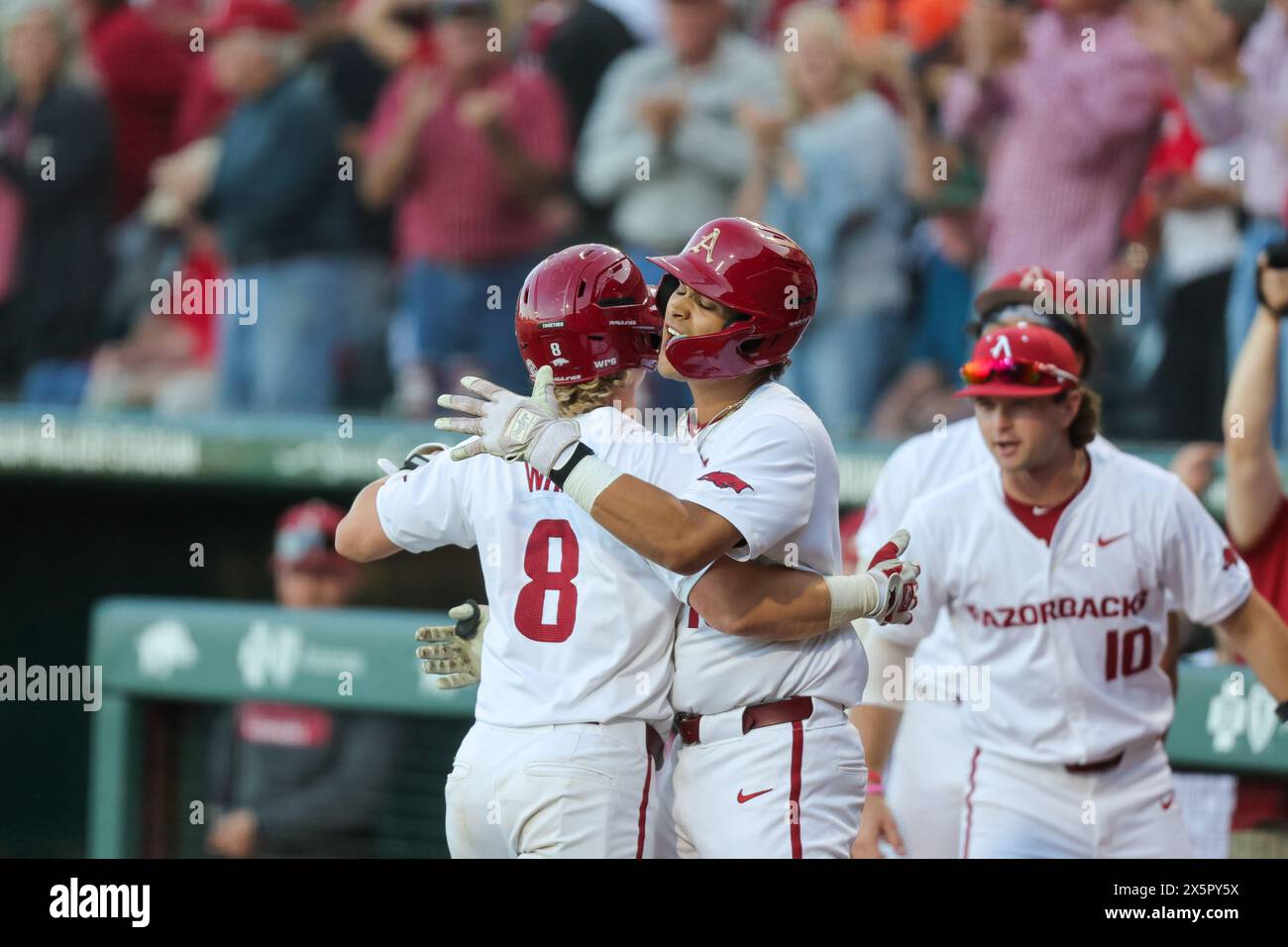 May 10, 2024: Hudson White #8 of Arkansas is greeted back at the dugout by Jayson Jones #13 following a two run home run. Arkansas defeated Mississippi State 7-5 in Fayetteville, AR. Richey Miller/CSM(Credit Image: © Richey Miller/Cal Sport Media) Stock Photo