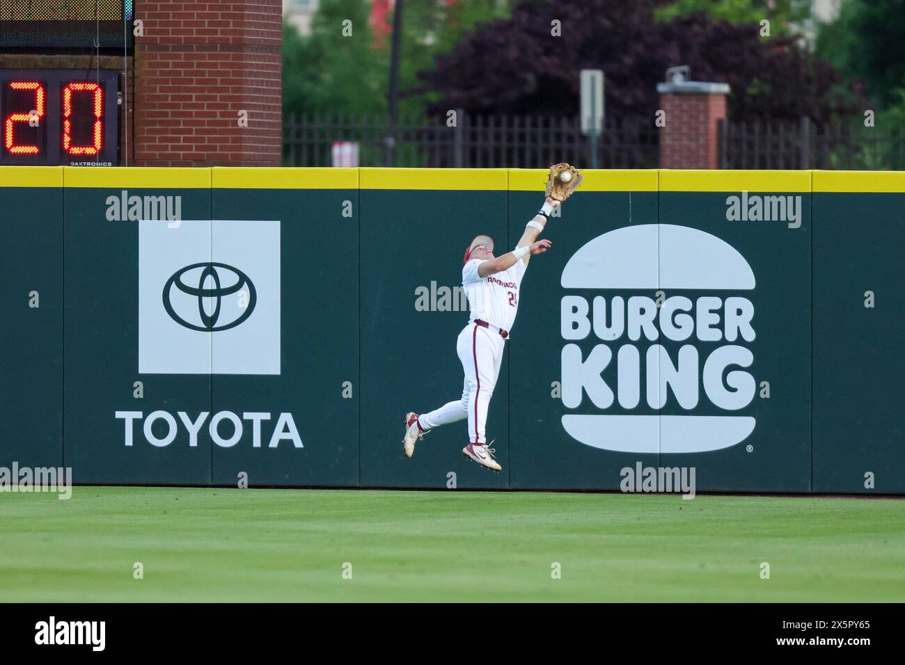 May 10, 2024: Hogs outfielder Peyton Holt #10 catches a fly ball as he jumps to catch it before it goes over his head. Arkansas defeated Mississippi State 7-5 in Fayetteville, AR. Richey Miller/CSM Stock Photo