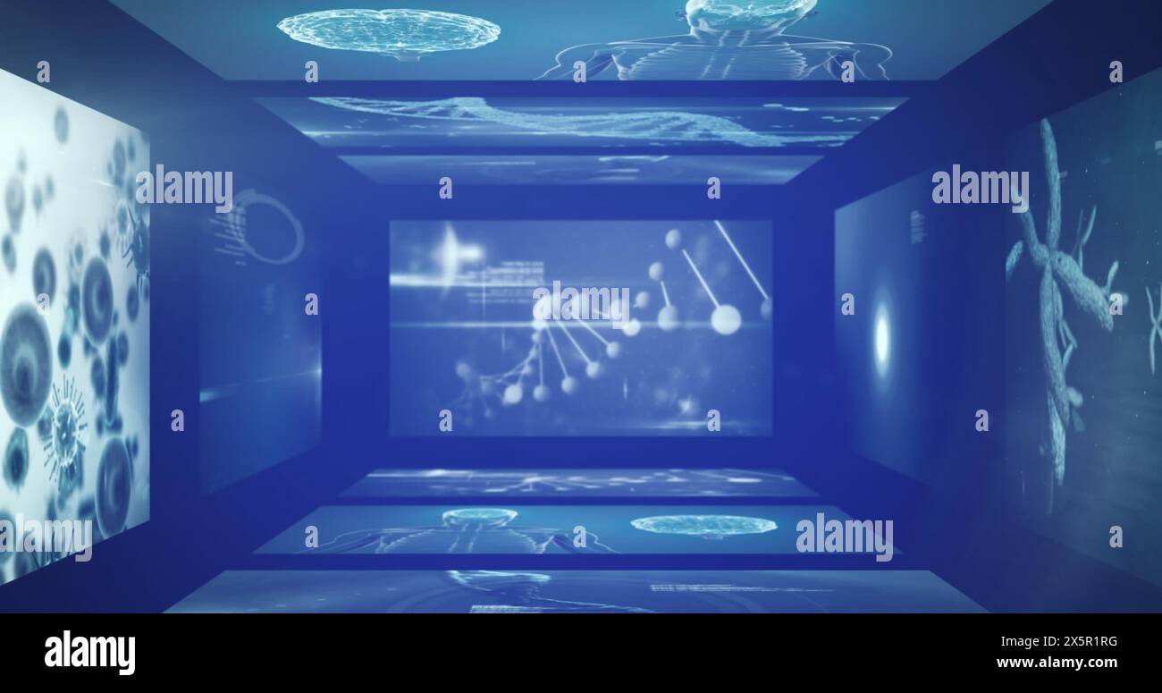 Image of data processing over digital screens Stock Photo