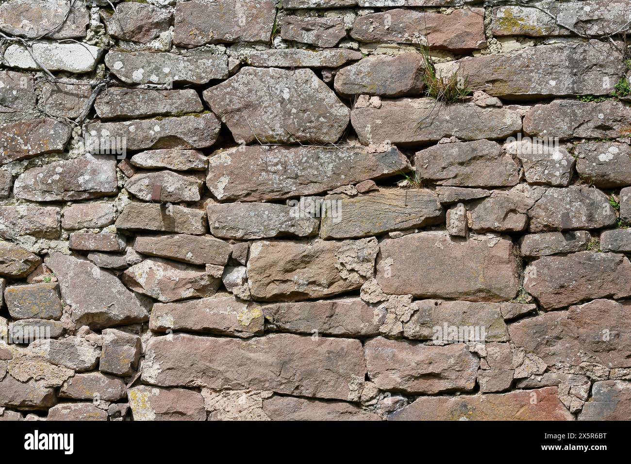 Natural stone wall made of quarry stone, Rhineland-Palatinate, Germany Stock Photo