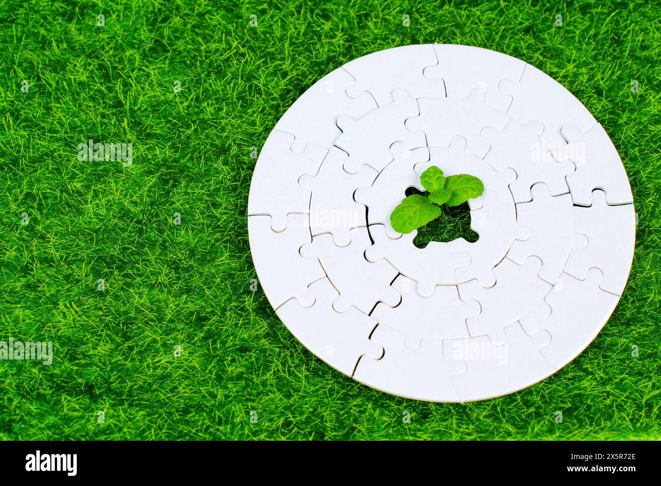 Fresh sprout breaks through a hole in the center of a blank jigsaw puzzle, placed on green lawn. Growth and development related concept. Stock Photo