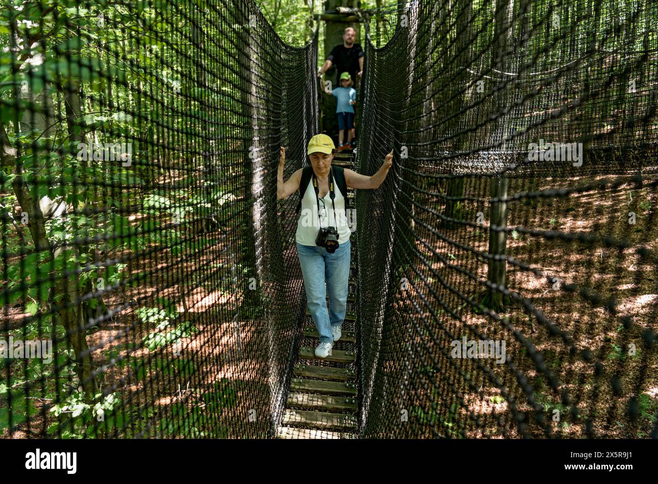 Sporty woman, tourist with camera in treetop path, suspension bridges, ropes, nets, beech forest, family excursion, summit mountain Hoherodskopf Stock Photo