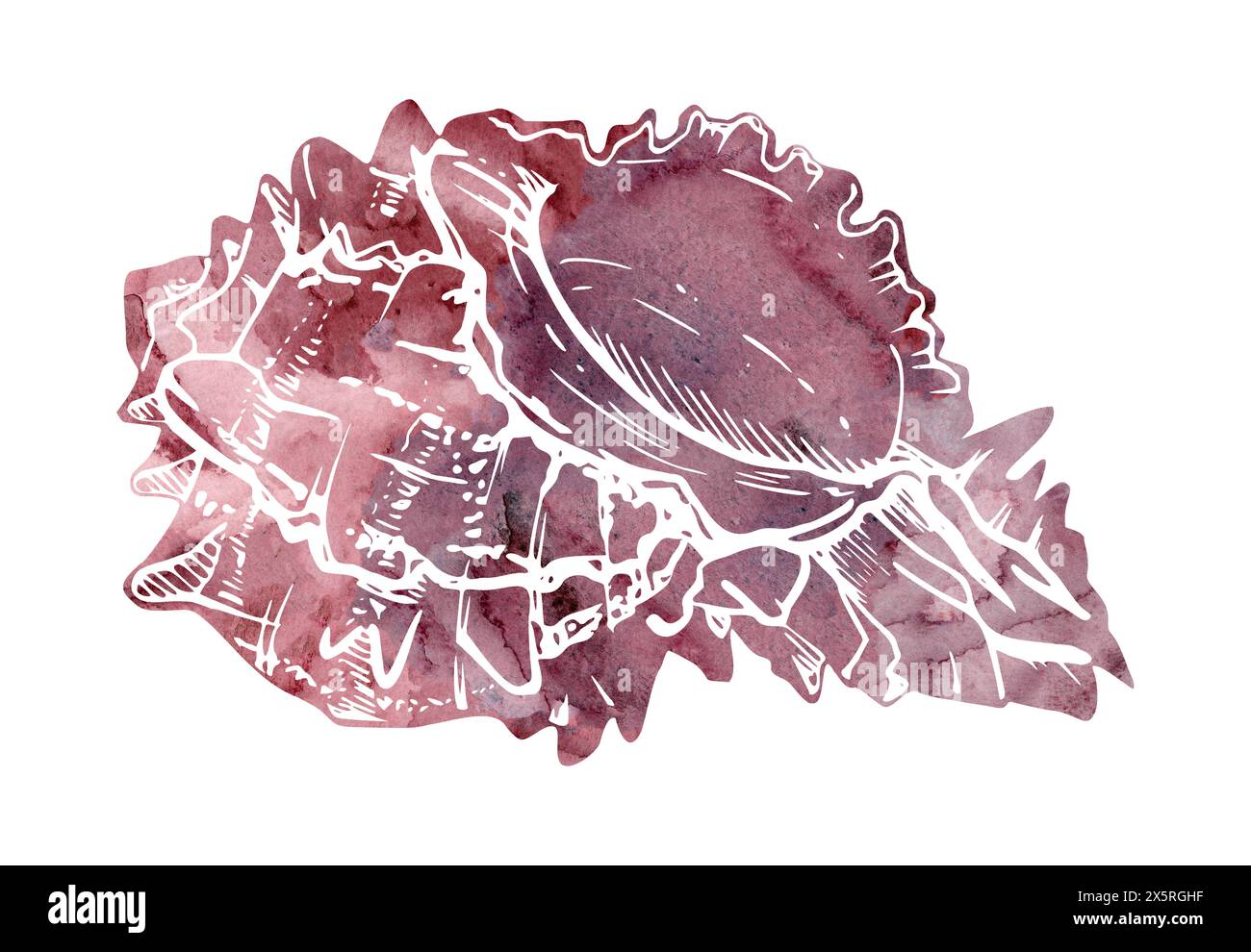 Watercolor and ink hand drawn marine life, sea ocean underwater creatures. fish, shells algae seaweed. Single object illustration, stylized, isolated Stock Photo