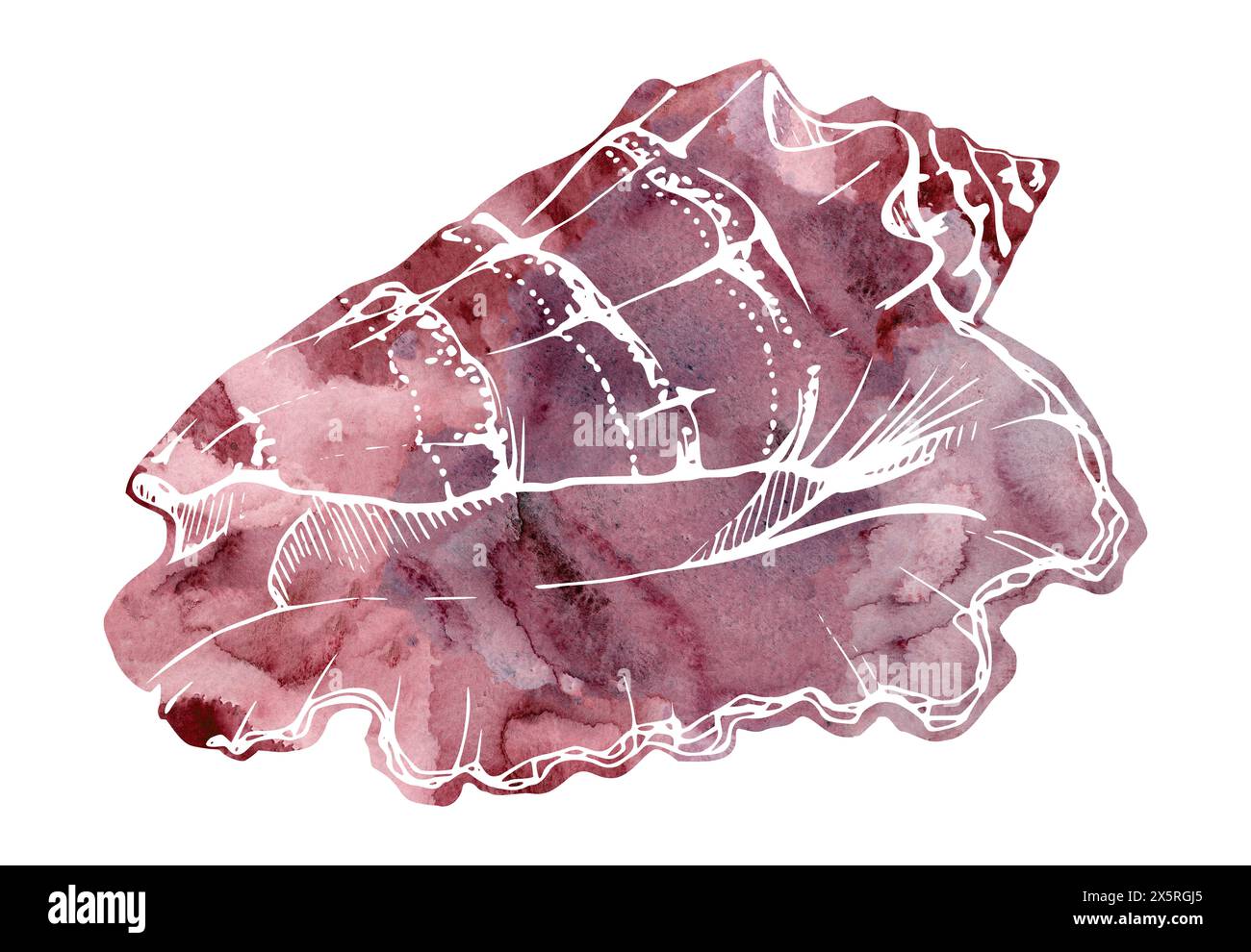 Watercolor and ink hand drawn marine life, sea ocean underwater creatures. fish, shells algae seaweed. Single object illustration, stylized, isolated Stock Photo