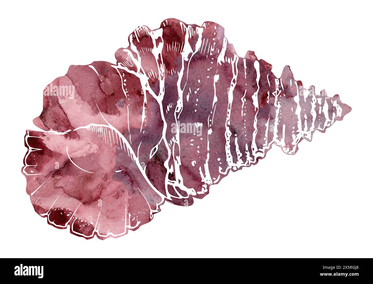 Watercolor and ink hand drawn marine life, sea ocean underwater creatures. fish, shells algae seaweed. Single object illustration, stylized, isolated Stock Photo
