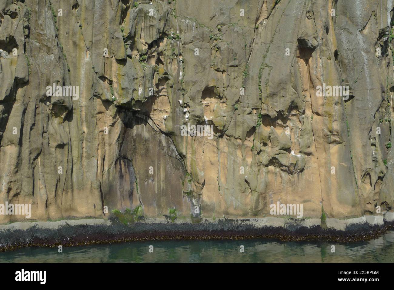 Iceland whale sanctuary hi-res stock photography and images - Alamy
