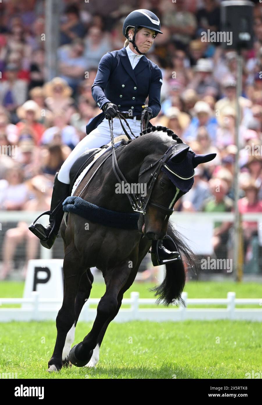 Badminton Estate, Gloucestershire, UK. 10th May, 2024. 2024 MARS Badminton Horse Trials Day 3; Helen Bates (GBR) riding CARPEDIEM During the Dressage on Day 3 Credit: Action Plus Sports/Alamy Live News Stock Photo
