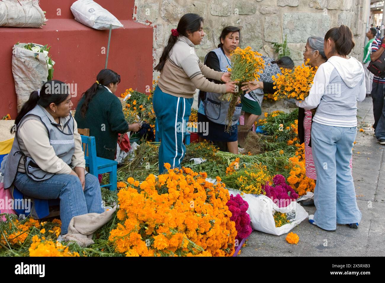 Oaxaca, Mexico, North America.  Day of the Dead Celebrations.  Selling Marigolds, the traditional flower for decorating family altars and graves. Stock Photo