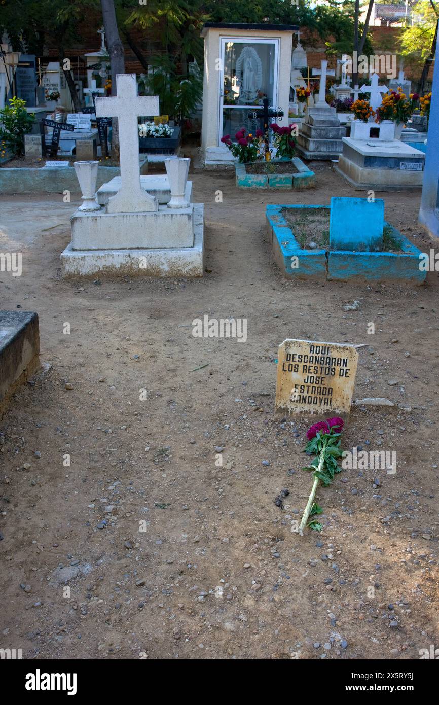 Matatlan, Oaxaca; Mexico; North America.  Day of the Dead Celebration.  Poverty Amid Wealth.  A single stalk of flowers and a broken headstone . Stock Photo