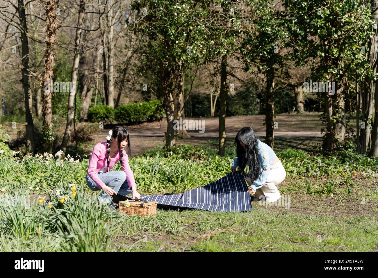 Picnic park hipster hi-res stock photography and images - Alamy