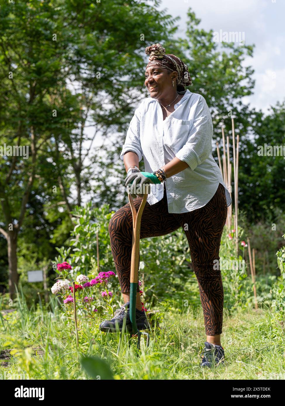 Mature woman gardening in allotment Stock Photo - Alamy