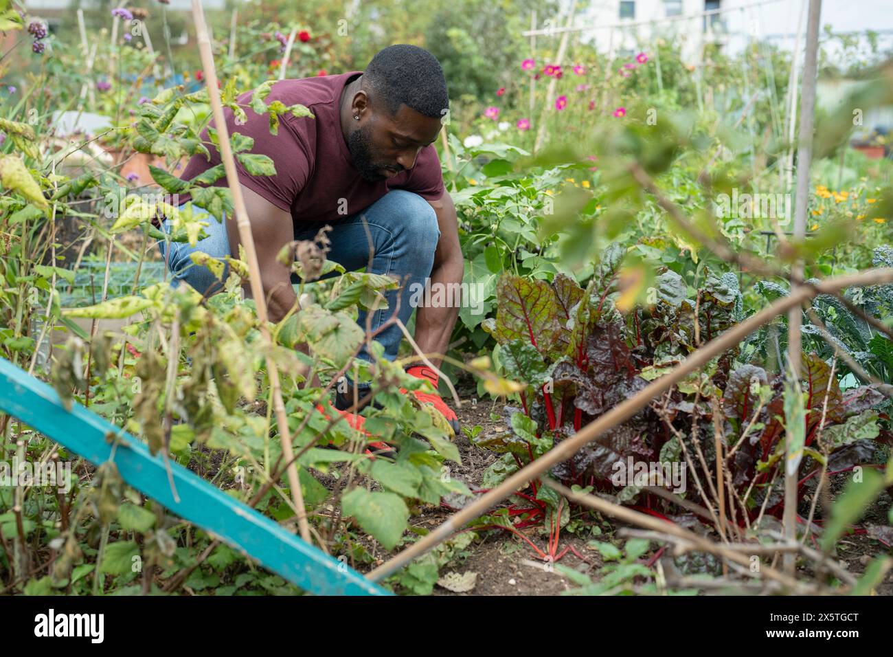 African man working in garden hi-res stock photography and images - Alamy