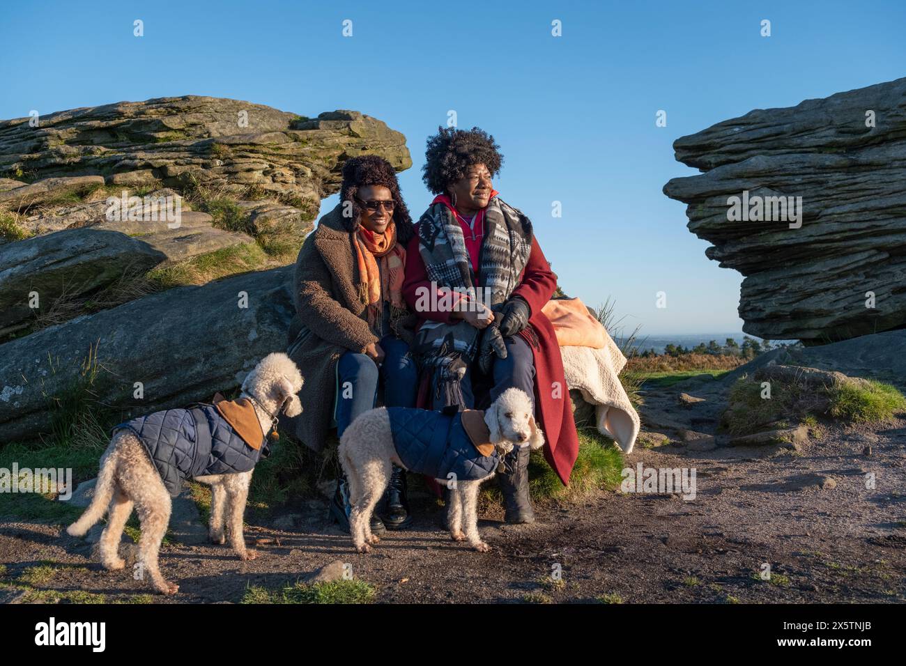 Two dogs together hi-res stock photography and images - Alamy