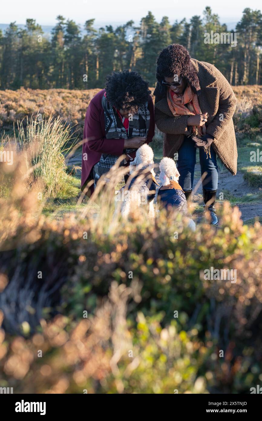 Two women and two dogs hiking together Stock Photo - Alamy