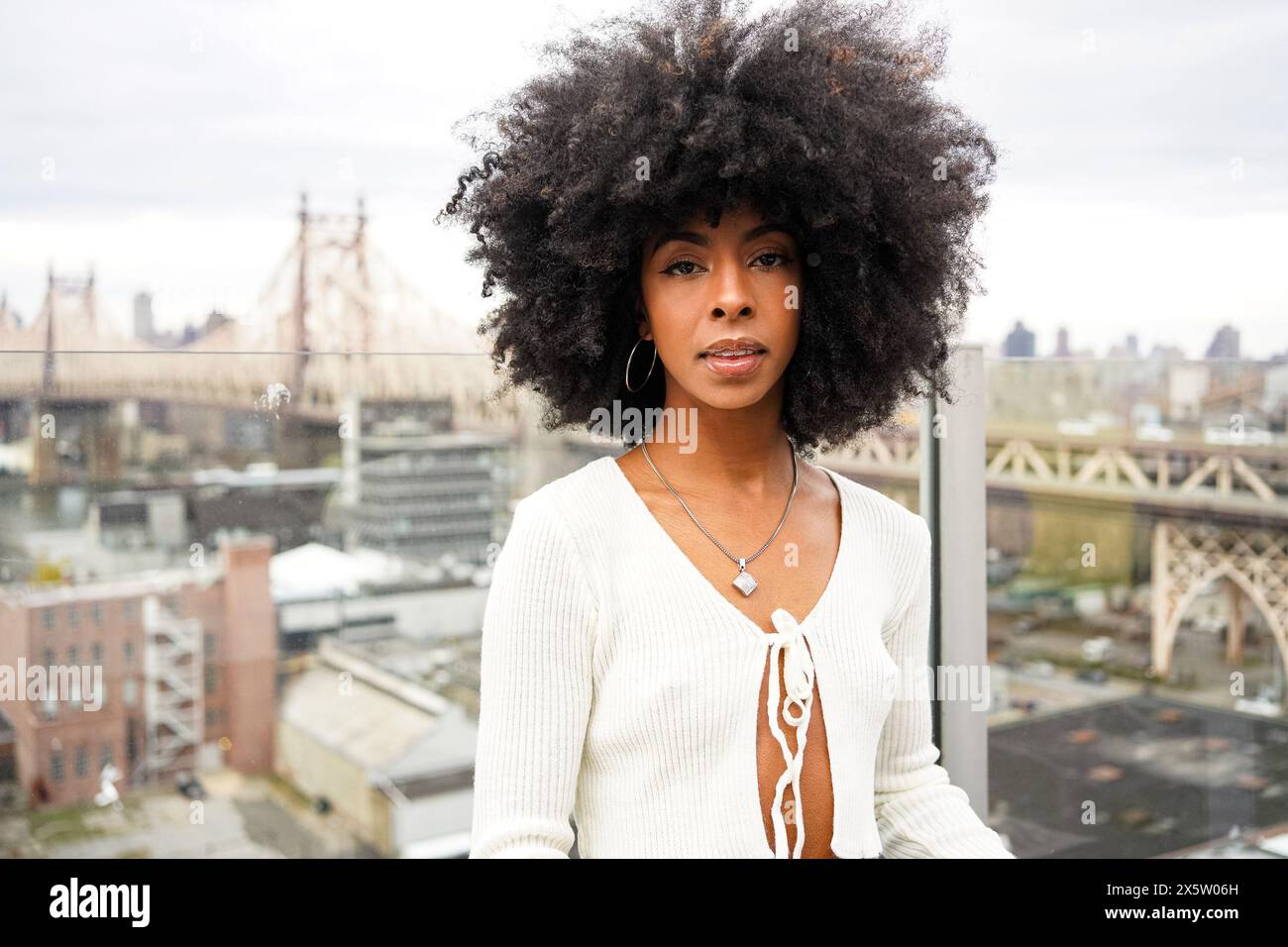 African american wigs in new york best sale