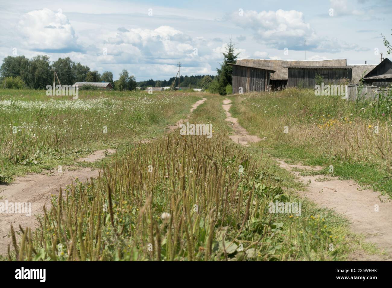 Old overgrown dirt road hi-res stock photography and images - Alamy