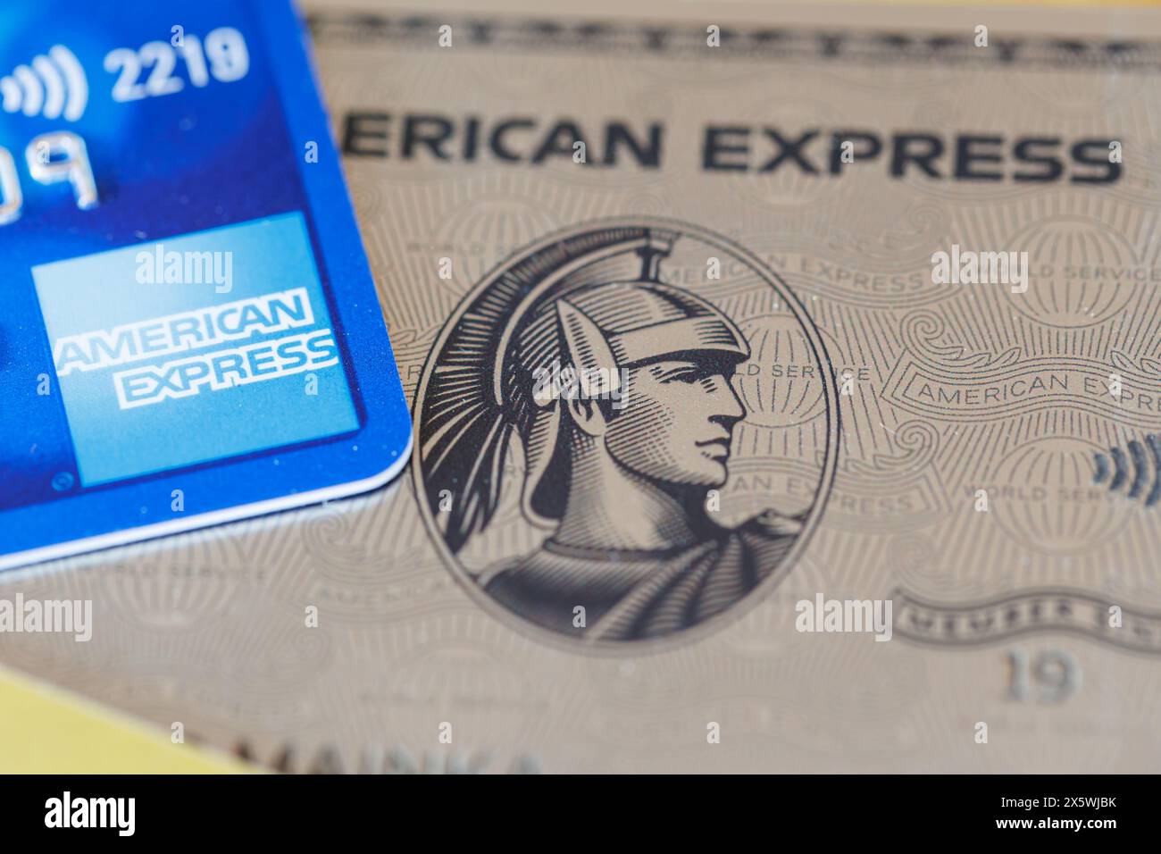 American ExpressPlatinum Card ネームタグ （American Express