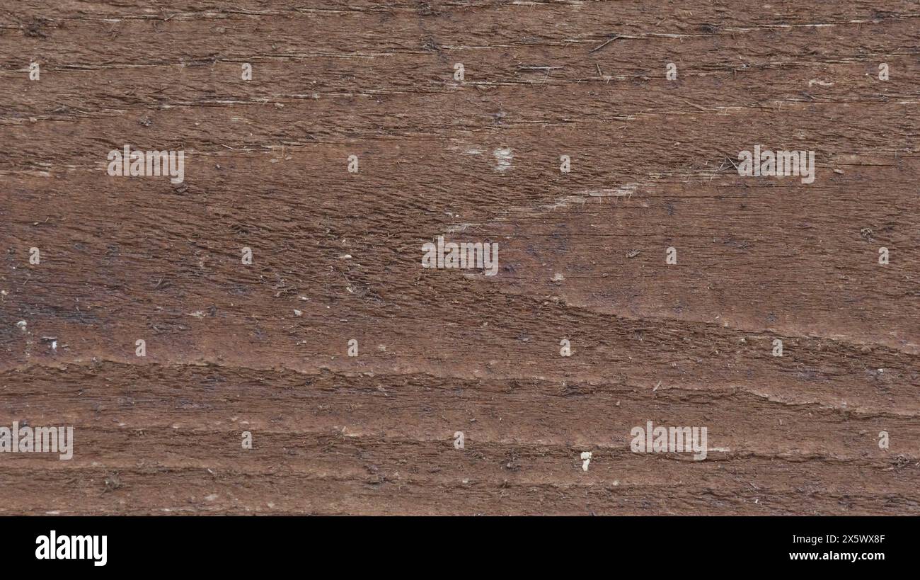 Realtree Timber Texture Wooden texture, real trees Stock Photo - Alamy