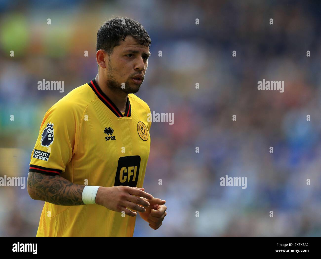 Goodison Park, Liverpool, UK. 11th May, 2024. Premier League Football, Everton versus Sheffield United; Gustavo Hamer Sheffield United Credit: Action Plus Sports/Alamy Live News Stock Photo