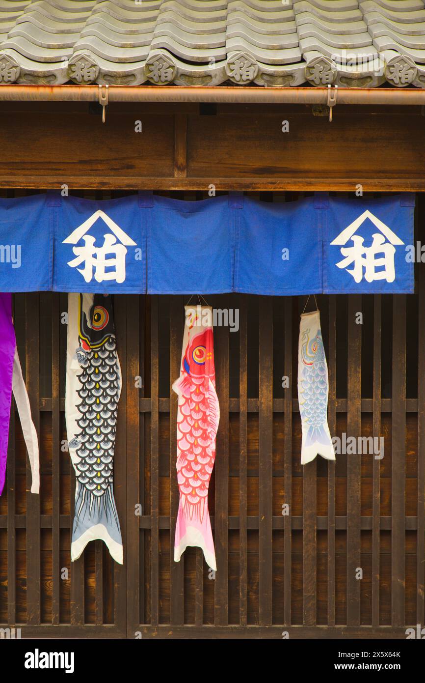 Japan, Inuyama, Koinobori, koi carp flags, Stock Photo