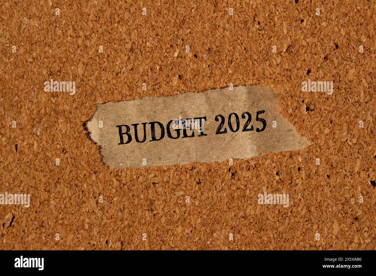 Budget 2025 words written on ripped paper piece with brown background