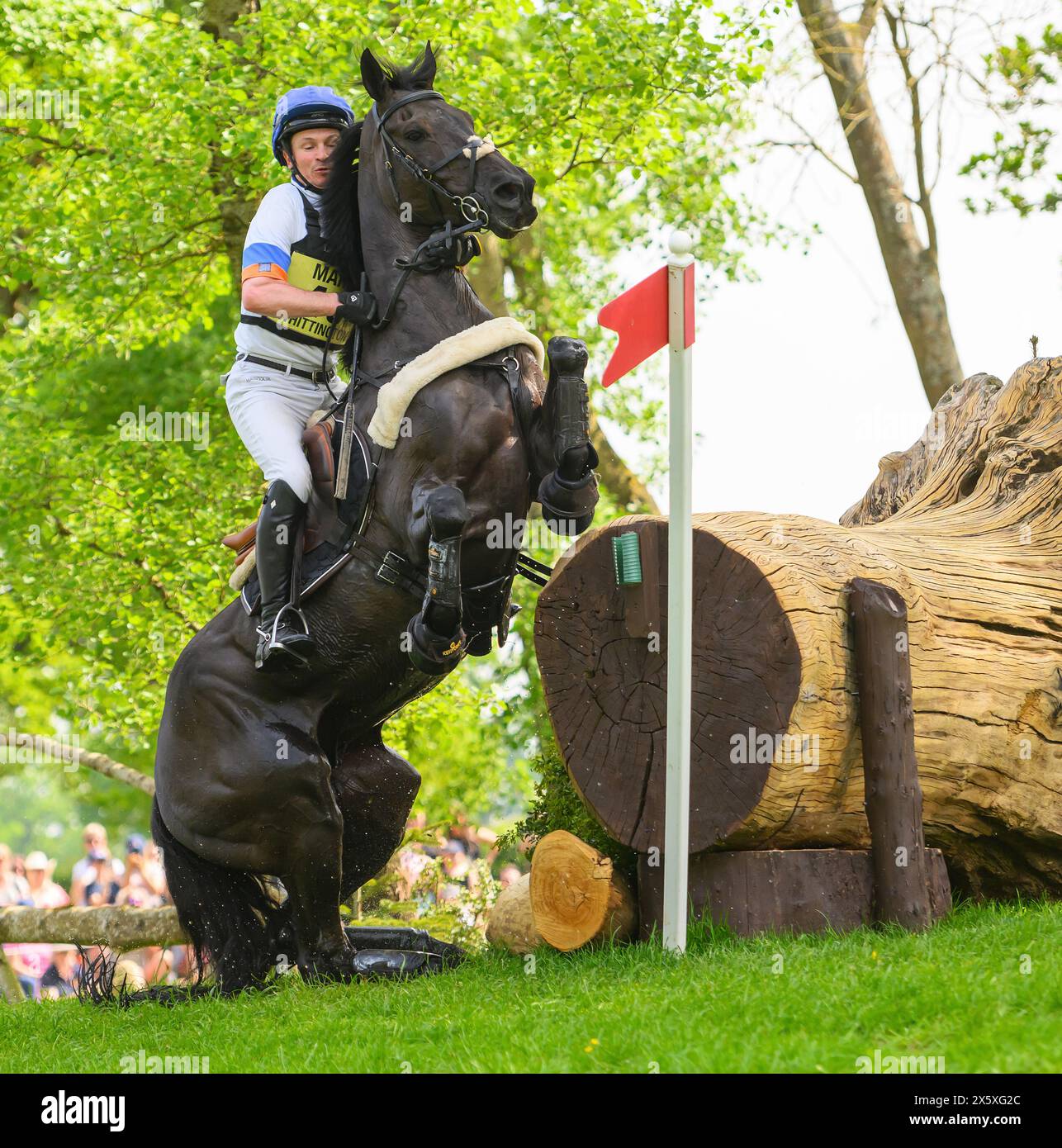 Badminton Horse Trials Cross Country - Gloucestershire, UK. 11th May, 2024. Francis Whittington on DHI Purple Rain at the 18th. Picture Credit: Mark Pain/Alamy Live News Stock Photo