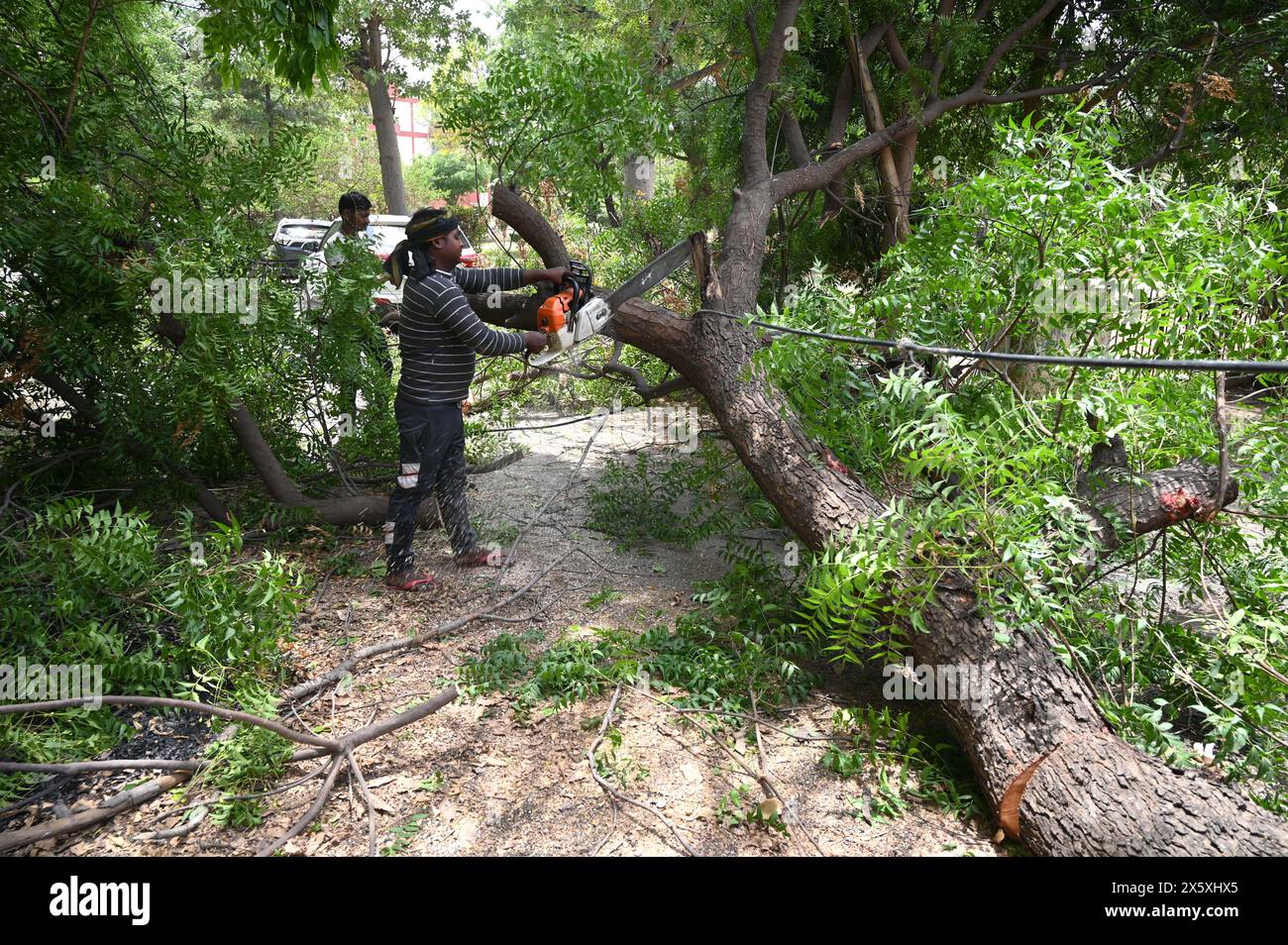Rain forest of india hi-res stock photography and images - Page 9 