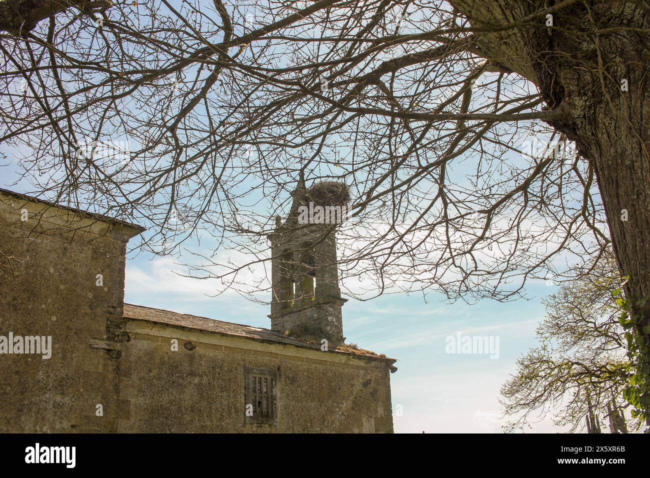 stork nest in a bell tower of a small church in Galicia, Spain Stock Photo